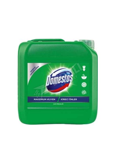 4 Adet Domestos Çamaşır Suyu Dağ Esintisi 5 Lt Diğer