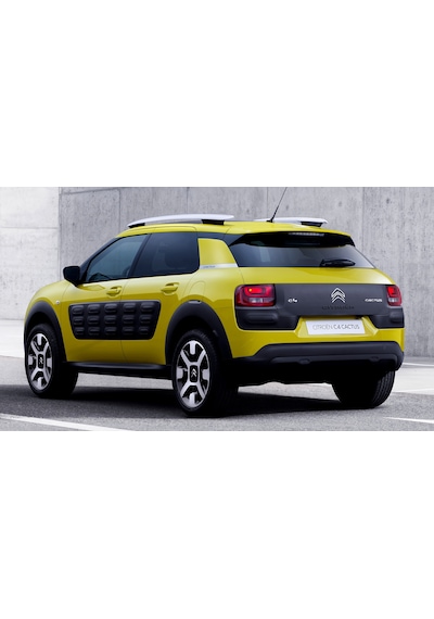 Citroen C4 Cactus 2014-20 Arka Bagaj Amortisör Pistonu 981391388