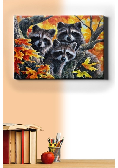 Webstyle Sayılarla Boyama Seti Kasnaklı Rakunlar 50 X 65 Cm