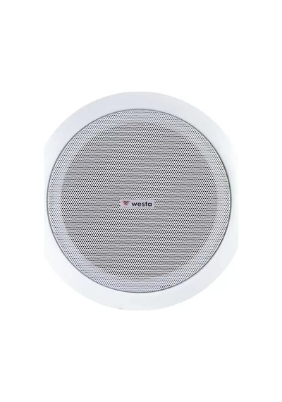 Hubrendy Sh Westa 20 Cm Trafolu 8 Inc Beyaz 30 Watt Alçıpan Hoparlör Ws-2035t
