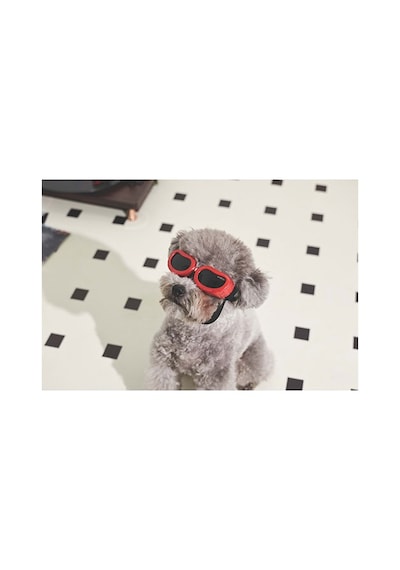 M-pets Sunny Daytrip Köpek Gözlüğü Kırmızı 15,2x4,9 Cm 244-54043.01