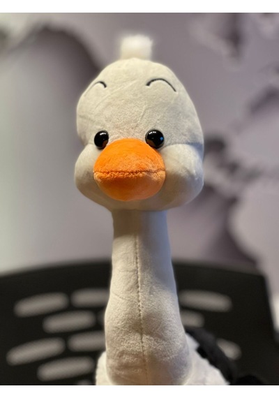 Büyük Siyah Deve Kuşu Peluş 60cm Siyah