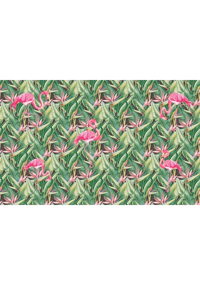 Flamingo Desenli Duvar Kağıdı (359266398)