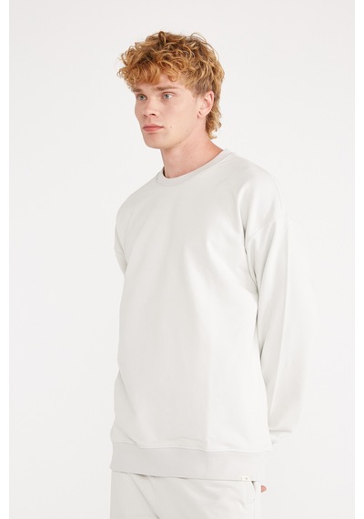Jepublic Erkek Sweatshirt-j222014 Gri