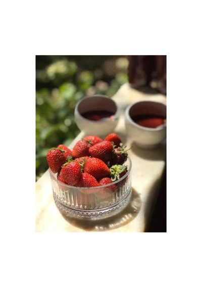 Elysia Kase Çerezlik 530038 6 Adet Şeffaf