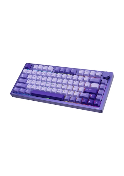 Philips EVNIA SPK8618 Mekanik RGB 81 Tuş USB Bluetooth 2.4 G Kablosuz Oyuncu Klavyesi