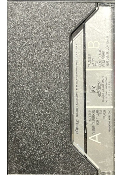 Plak Değildir Kaset Tir Kaset Livaneli Zor Yıllar Kaset