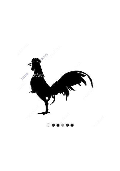 Tek Başına Duran Uzun Kuyruklu Horoz Sticker 17Cm