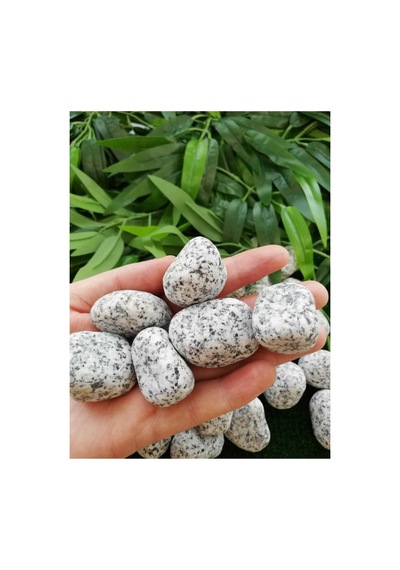 Ekodoğa Granit Dolomit Taş 25 Kg 2 5 4 Cm Siyah Beyaz Dekoratif Bahçe Taşı Dekor Sku: Smgstk44404cc5b2