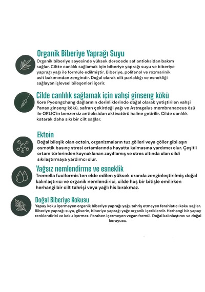 Orlic Youth Biberiye & Ektoin Nemlendici Krem 50 ML