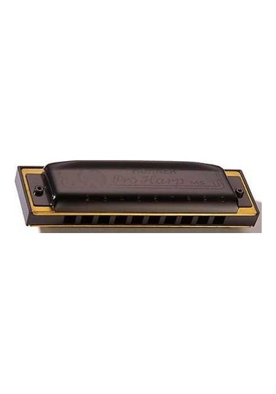 Hohner Pro Harp Ms Serisi 562/20 Mızıka Re Majör
