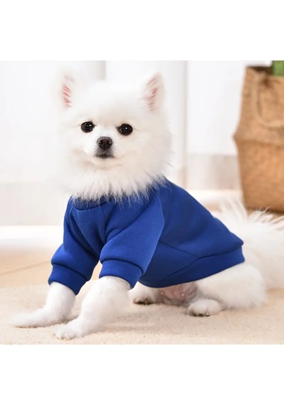 Kedi Ve Köpek İçin Ayıcıklı Mavi Sweatshirt