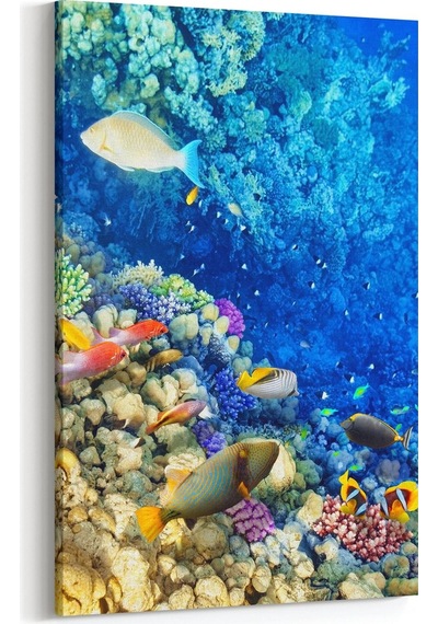 Olla 60x90 Cm 12126d Akvaryum / Balık Görseli Dikey Kanvas Tablo