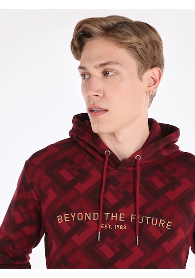 Colin's Colins Regular Fit Baskılı Kapüşonlu Mor Erkek Sweatshirt Mor