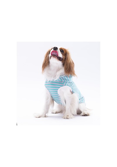 Pawstar Aqua Sunny Kapşonlu Kedi Köpek Tişörtü Kedi Köpek Kıyafeti