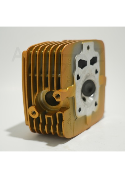 Cg 150 Üst Kapak Gold Çita 001