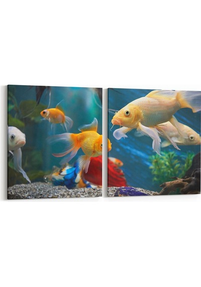 Olla 85x40 Cm 12145k2y Akvaryum / Balık Görseli Kare 2'li Yatay Kanvas Tablo