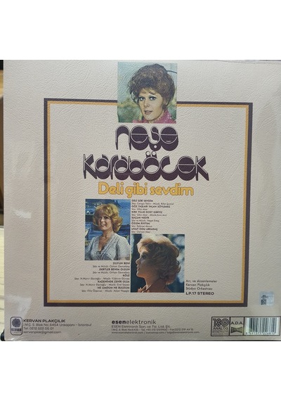 Neşe Karaböcek - Deli Gibi Sevdim