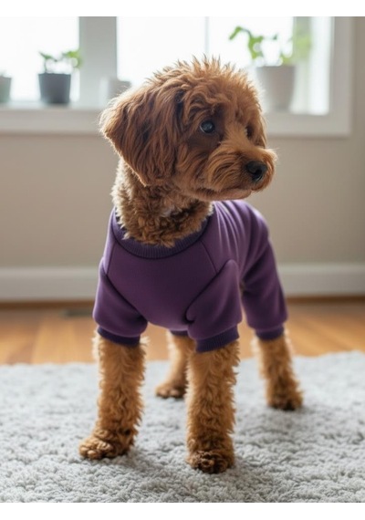 Pony Purple Ponpon Köpek Tulumu Şardonlu Polar Kumaş Küçük Irk Köpekler İçin Tüy Dökülmesini Mor L