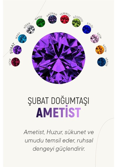Şubat Ametist Doğum Taşı Rose Tektaş Çivili Gümüş Küpe