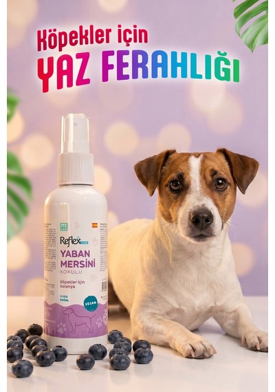 Reflex Care Yaban Mersini Kokulu Köpek Kolonyası 125 Ml