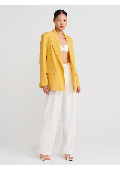 Dilvin 60767 Blazer Ceket-sarı Sari