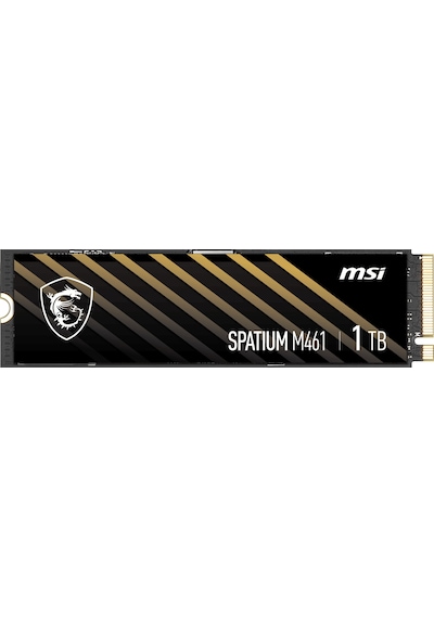 Msı 1tb Spatıum M461 5000-3200mb/s M2 Nvme Gen4 Disk