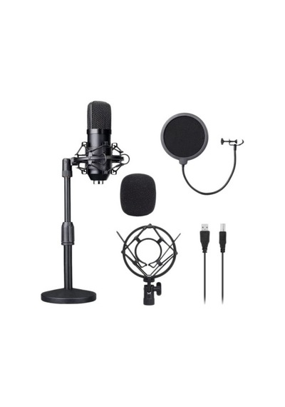 Lea L-2700 192K Stüdyo Condanser Canlı Yayın Mikrofon Seti