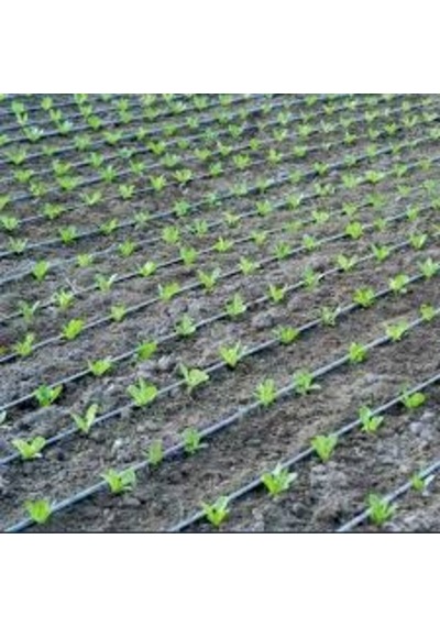 Damlama Hortumu Delikli Delik Arası Mesafe 20 Cm Toplam 400metre