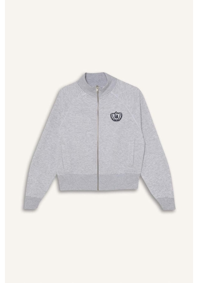 Defacto Loose Fıt Baskılı Fermuarlı Sweatshirt G8117ax26spgr256 Gri-gr256
