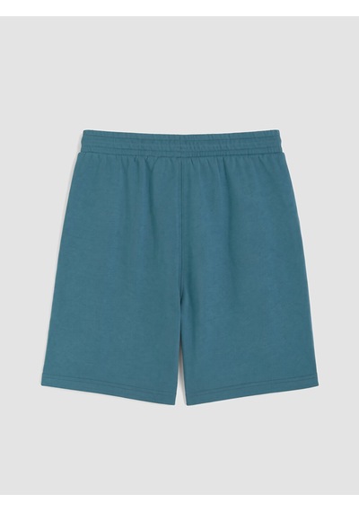Lcwaıkıkı Classic İndigo Regular Fit Erkek Şort