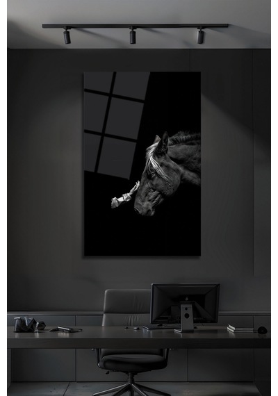 Siyah Beyaz At Ve İnsan Temalı Minimalist Cam Tablo Duygusal Modern Duvar Dekoru Portre Temalı Dekoratif Duvar Tablosu, Salon Ve Yatak Odası Dekoru,