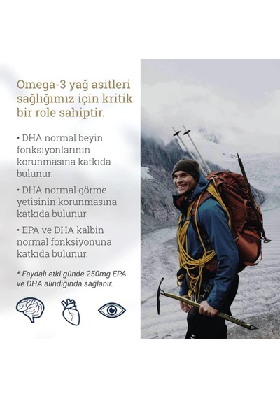 Ballstad Omega-3 Başlangıç Paketi Saklama Kutulu