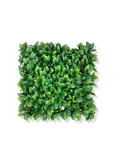 Cihan Çiçekçilik Yapay Portakal Yaprağı Bitki Duvar Kaplama 50x50 Cm Yeşil Beyaz- Yeşil