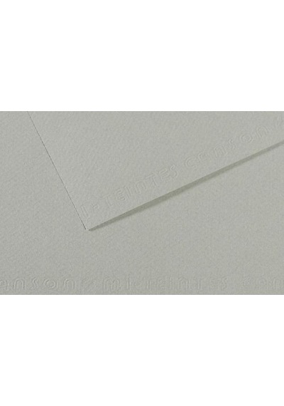 Canson Fon Kartonu Dokulu Mı-teıntes Sh Canmt 50x65 160 Gr Grey 354