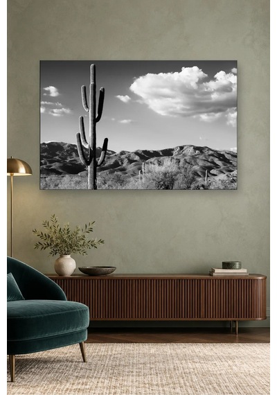 Fida Siyah Beyaz Saguaro Kaktüsü Ve Bulutlar Canvas Tablo Beyaz - Siyah
