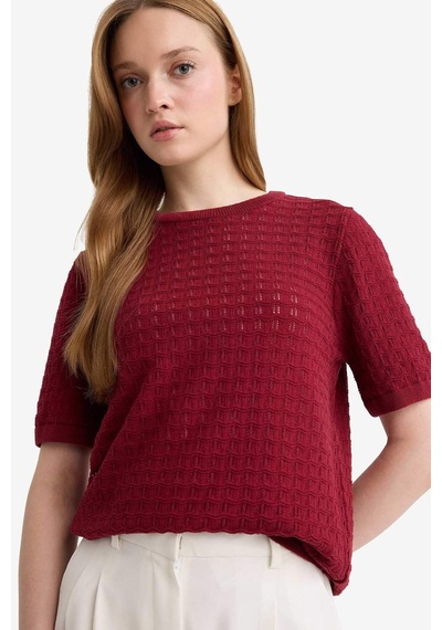 Defacto Regular Fit Bisiklet Yaka Kısa Kollu Triko Kazak F4974ax25aubr115 Bordo