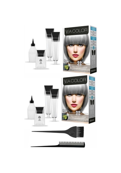 Sea Color Set Boya 0,01 Silver 2 Adet+Boya Tarağı+Fırça