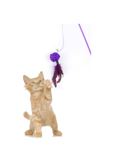 Mor Toplu Tüylü Kedi Oyun Oltası 46 CM