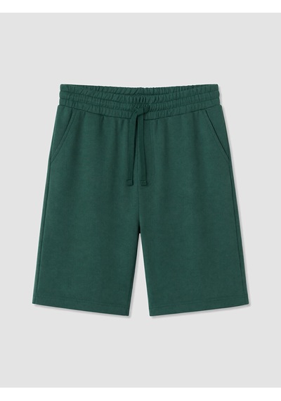 LC Waikiki Lc Waıkıkı Yeşil Regular Fit Erkek Pijama Alt Şort