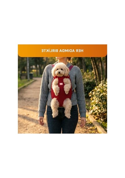 3.1 Phillip Lim 1.5-3 Kg Evcil Hayvanlar İçin Taşıma Çantası, Hafif Ve Rahat 0233 Orangeblue Cat