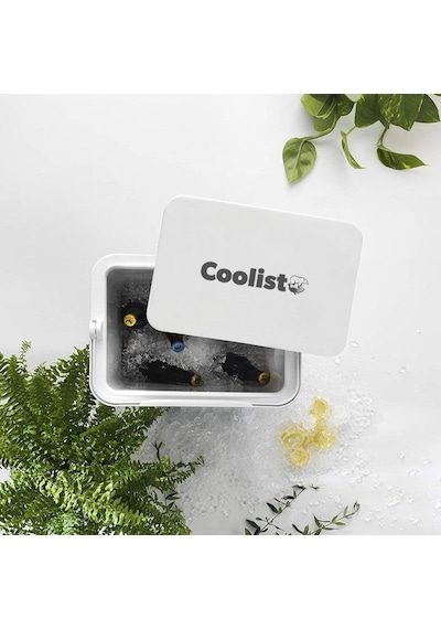 Coolist Clb30Set 30 Litre Buzluk + 3 Adet 400Gr. Buz Kaseti