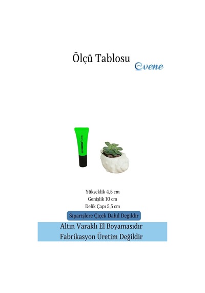 Mini Çiçek Saksı Küçük Sukulent Kaktüs Saksısı Deniz Kabuğu Model - Beyaz