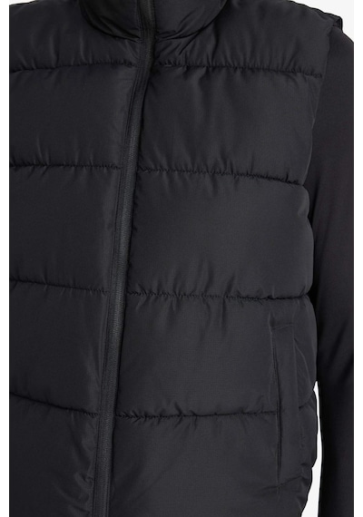 Defacto Defactofit Su İtici Regular Fit Fermuarlı Sporcu Su Geçirmez Şişme Yelek E9209ax25aubk81 Siyah Defacto Defactofit Su İtici Regular Fit Fermuarlı Sporcu Su Geçirmez Şişme Yelek E9209ax25aubk81 Siyah