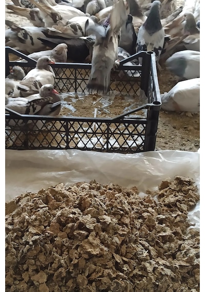 Doğal Güvercin Gübresi 3 Kg