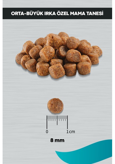 Peritas Signature Kuzulu Orta ve Büyük Irk Yavru Köpek Maması 3 KG