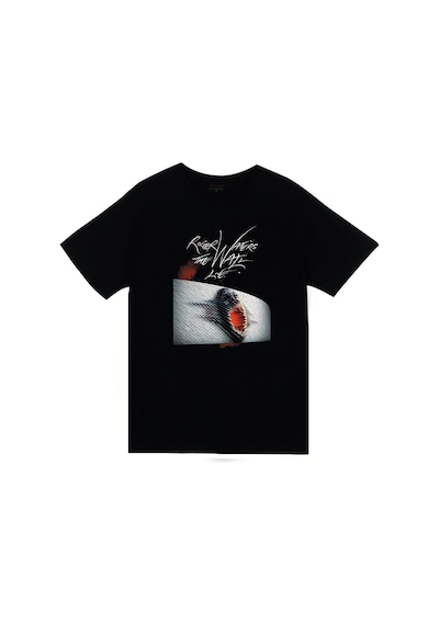 Stoned&Fame Pink Floyd Baskılı T-shirt SIYAH Siyah