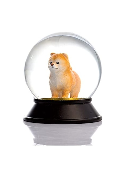 Cam Ve Reçine Altın Patiler Köpek Pomeranian Boo Kayısı Kar Küresi Hediye Diğer