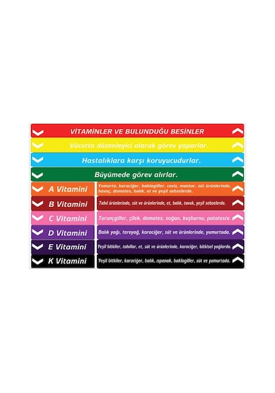Fen Bilgisi Merdiven Yazıları (Laminasyonlu) (508658444)