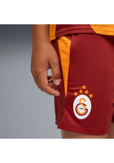 Puma Galatasaray Genç Antrenman Şortu 782893 01 Kırmızı